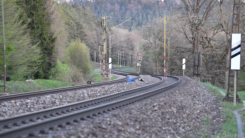 Güterzug kracht bei Sengenthal in Buche