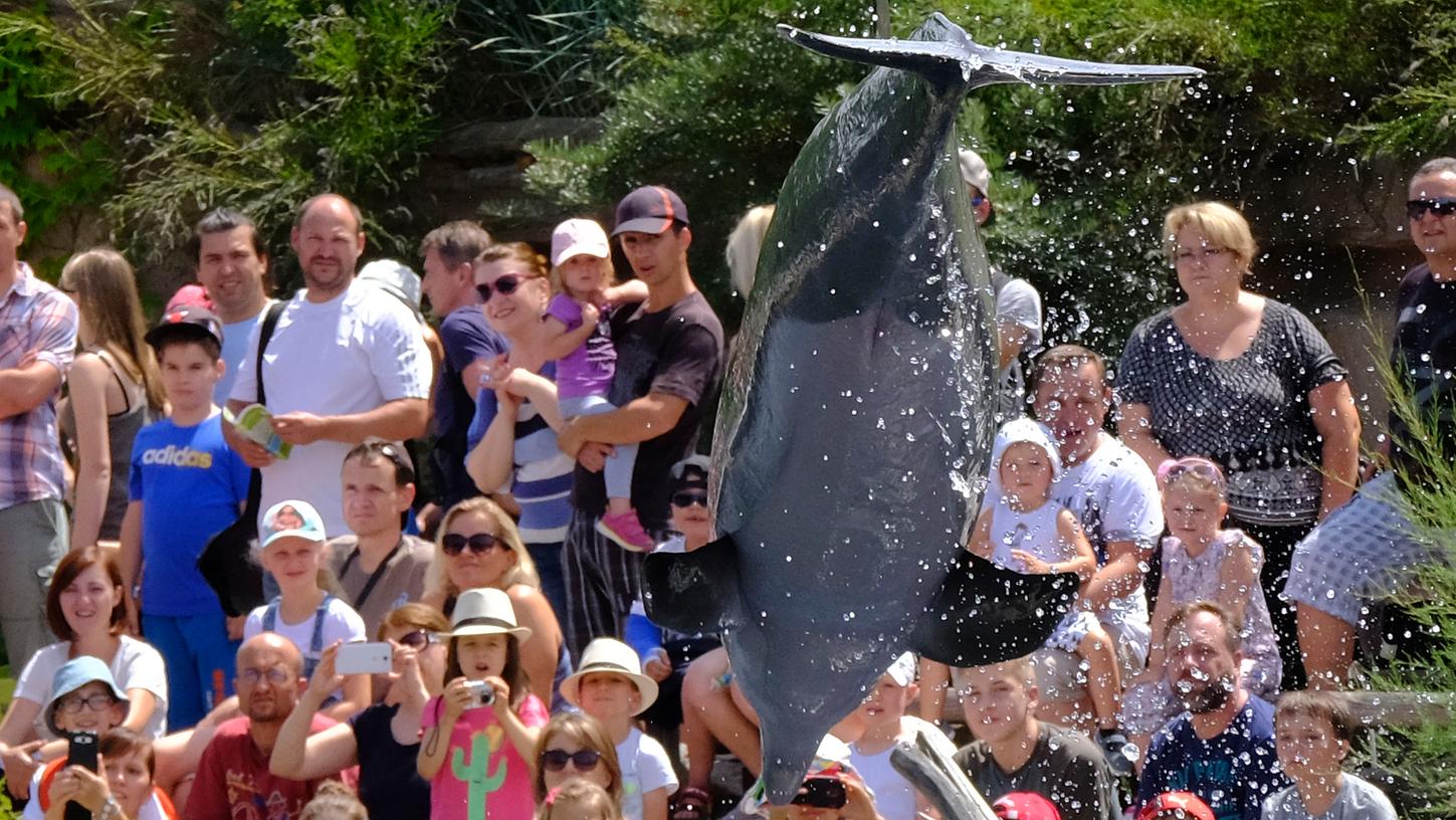 Die Delfinshow im Tiergarten lockt nach wie vor viele Zuschauer an.
