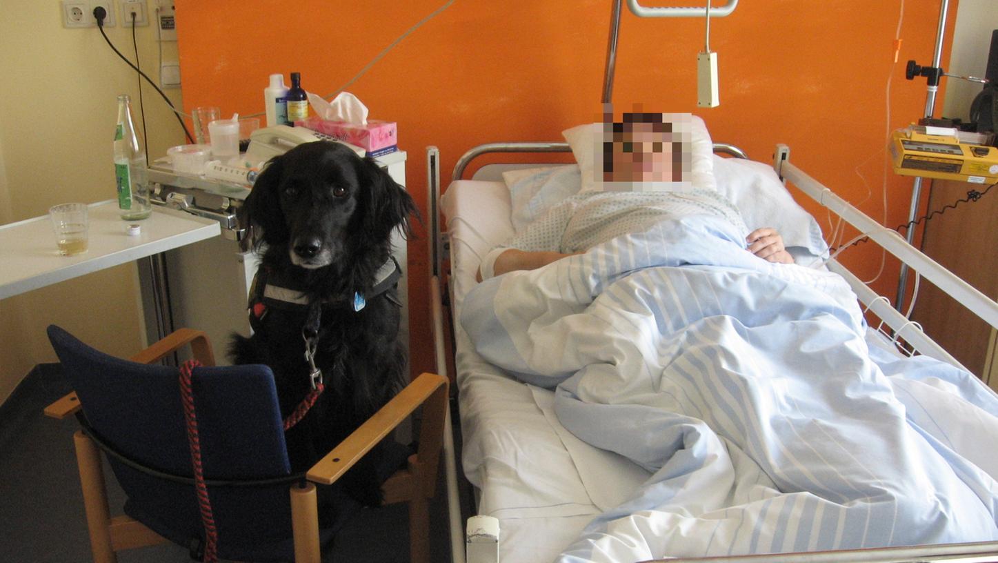 Seit zehn Jahren gibt es die Palliativeinheit im Höchstadter Krankenhaus | Nordbayern