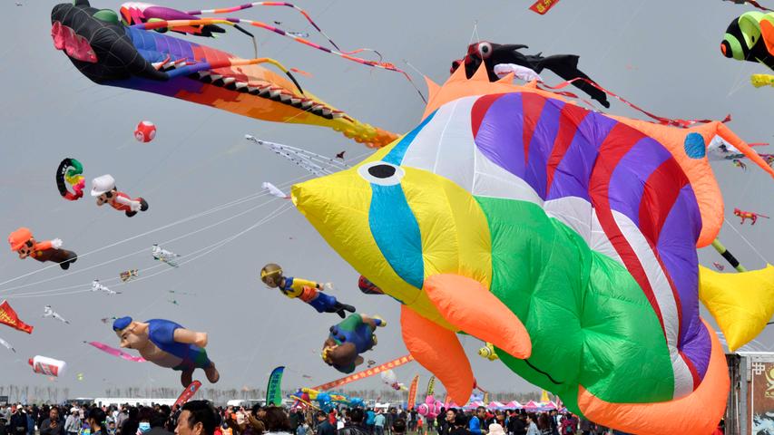 In der chinesischen Stadt Weifang werden Kinderträume wahr, wenn einmal im Jahr das International Kite Festival stattfindet. Während des Festivals finden verschiedene Konzerte statt und überall in der Stadt lassen Jung und Alt ihre Drachen steigen. Der Bau von Drachen in allen Größen und Formen ist einer der wichtigsten Wirtschaftszweige in der Millionenstadt der Provinz Shandong.