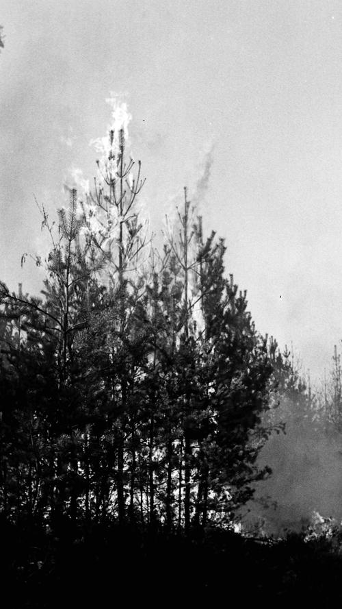 1969: An ein Löschen des Waldbrandes war nicht zu denken