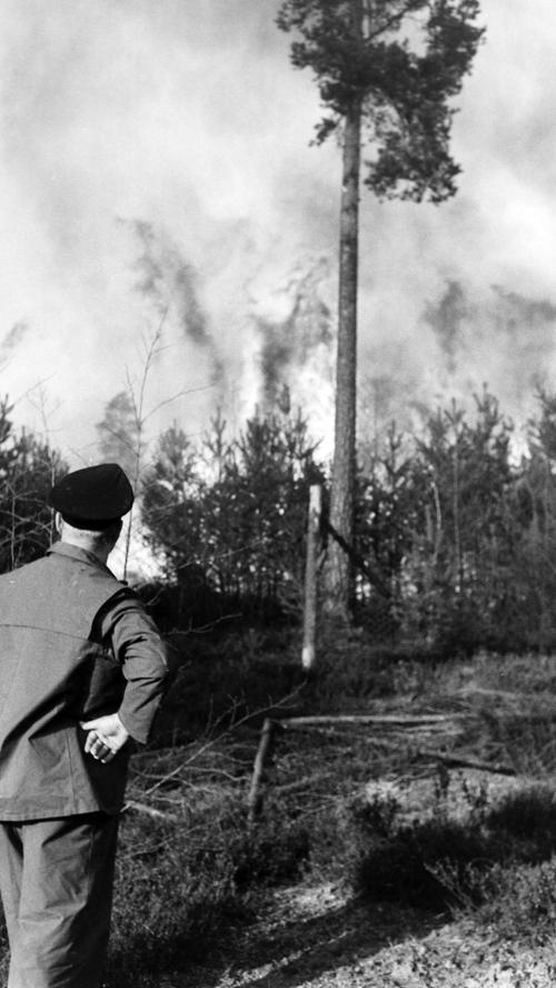 1969: An ein Löschen des Waldbrandes war nicht zu denken
