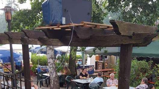 Ob urig oder modern, auf dem Berg oder nah am Wasser - in Franken locken verschiedenste Biergärten hungrige und vor allem durstige Gäste an. Wir haben unsere Leser gebeten, für ihre Lieblings-Biergärten abzustimmen. Der Biergarten Geflügelhof ist in unserem Online-Voting auf Platz 21 gelandet. Bis zu 200 Personen finden in dem Biergarten Platz, der im Sommer viele Schattenplätze bietet.