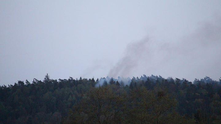 Nachdem am Nachmittag bereits ein großes Waldstück gebrannt hatte, stieg am Abend erneut eine Rauchsäule über den Baumwipfeln südlich von Hersbruck auf.