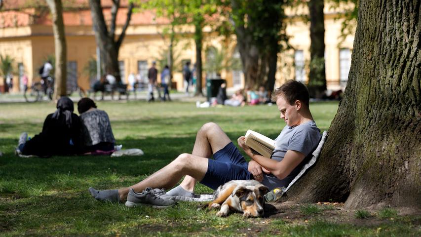 Da gab es kein Halten mehr, bei diesem Wetter wollten alle lieber ins Freie. Im Schlosspark war einiges los, Samuel Stegmeyer hat sich zum Lesen lässig an einen Baum gelehnt, sein Hund Nikas ruht sich im Schatten aus.