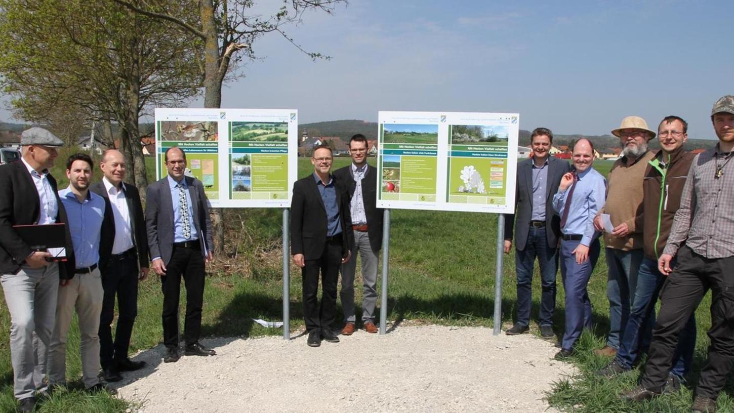 Willersdorf: Hecken für den Umweltschutz