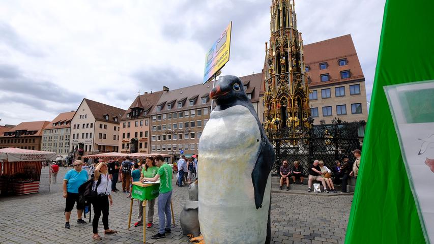 In Nürnberg am Hauptmarkt wurde letztes Jahr von Greenpeace für den Schutz der antarktischen Meere demonstriert. Ihr bestes Aushängeschild ist der Pinguin. Sein Lebensraum soll kalt und sicher für ihn bleiben, weswegen der Klimawandel schleunigst unter Kontrolle gebracht werden muss.