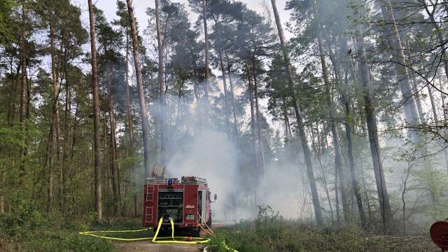 Schon wieder ein Waldbrand in Oberfranken
