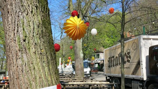 Die Wirte am Entlas Keller packt das blanke Entsetzen. Auch bei ihnen sollen Bäume fallen, sechs sind es hier, 25 sind es insgesamt am Bergkirchweih-Gelände.