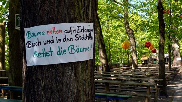 Die Wirte des Entlas Keller haben ein weiteres Gutachten in Auftrag gegeben.