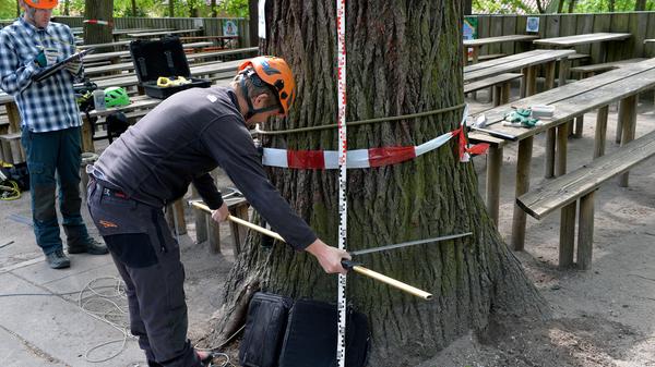 Das Dilemma: Nun gab es zwei Gutachten und zwei Meinungen.