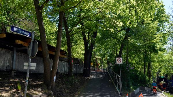 Experten haben im Dezember 48 Bäume auf dem Bergkirchweih-Gelände als Unsicherheitsfaktor ausgemacht. Erst im Frühjahr, wenn die Knospen treiben, konnte die Stadt über Zugversuche weitere Tests durchführen. Diese ergaben, dass 25 Bäume nicht sicher sind.