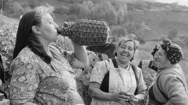 Dass es bei der Lese früher schon fröhlich zu ging, zeigt dieses Archivbild aus Iphofen aus dem Jahre 1959. Die Weinlese ist in den fränkischen Weindörfern auch heute noch ein besonderes Ereignis, bei dem die Winzerfamilien zusammenhelfen, um die Ernte des Jahres einzusammeln.