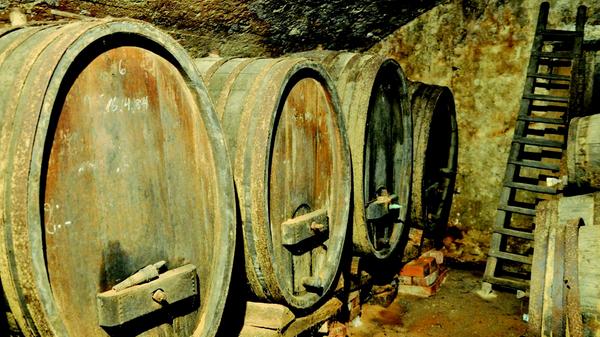 So stellt man sich einen Weinkeller vor: In dicken Holzfässern reifen die guten Tropfen jahrelang, bis sie verkauft und getrunken werden. Vor der Reifezeit findet die alkoholische Gärung statt, die von Hefe-Enzymen gesteuert wird und bei der Zucker aus dem Traubensaft in Alkohol umgewandelt wird. Außerdem gehen bestimmte Aromen aus dem Holz der Fässer in den Wein über. Wie lange ein Wein vor der Flaschenabfüllung lagern muss, entscheiden die Winzer nach Erfahrung.