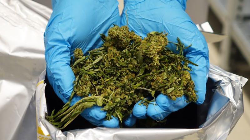 225 Millionen Euro: Bionorica verkauft Cannabis-Sparte