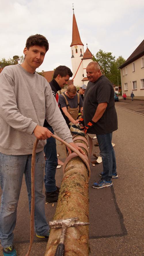 Die Traditionspflege wird in Altmühlfranken großgeschrieben, wie man am Vorabend des 1. Mai deutlich wurde. In vielen Dörfern wurden schmucke Maibäume aufgestellt, hier in Laubenzedel.