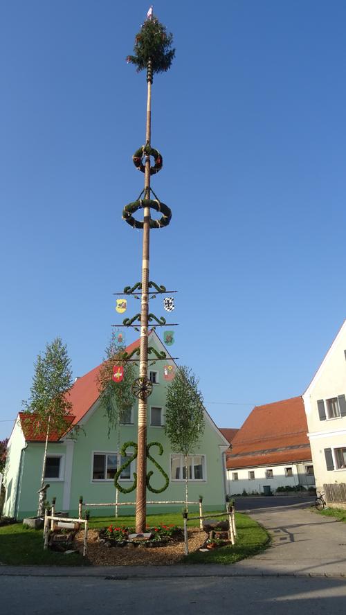 Die Traditionspflege wird in Altmühlfranken großgeschrieben, wie man am Vorabend des 1. Mai deutlich wurde. In vielen Dörfern wurden schmucke Maibäume aufgestellt, hier in Hüssingen.