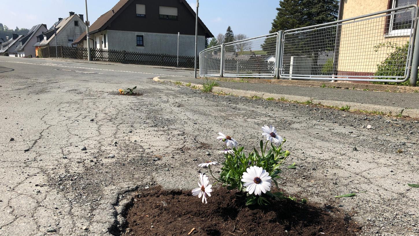 Im oberfränkischen Langenbach blühen derzeit Blumen - in den Schlaglöchern.