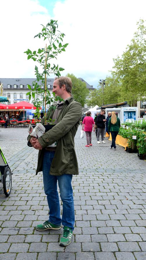 Bunte Blumen-Oase: Gartenmarkt lockt auf die Fürther Freiheit