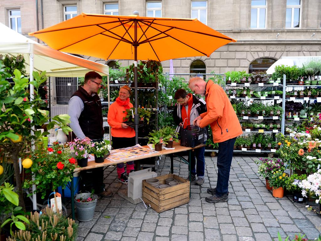 Bunte Blumen-Oase: Gartenmarkt lockt auf die Fürther Freiheit - Fürth | Nordbayern