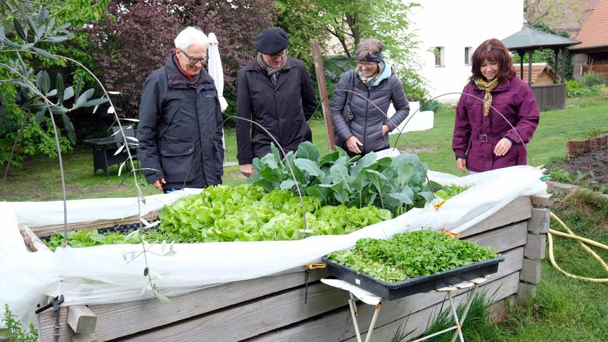 Hüpfburg, Gemüse und Traktoren: Tag der offenen Tür im Knoblauchsland