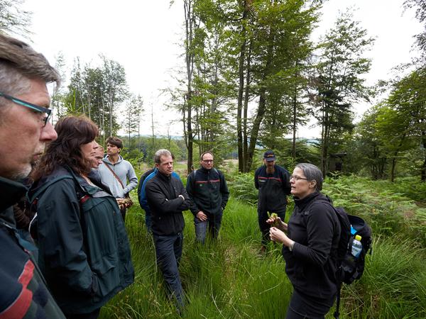 Ein Bild von einem Vorbereitungslehrgang zur Ranger-Ausbildung im Nationalpark Hunsrück-Hochwald bei Deuselbach (Rheinland-Pfalz). Auch in der Fränkischen Schweiz soll es künftig Ranger geben.