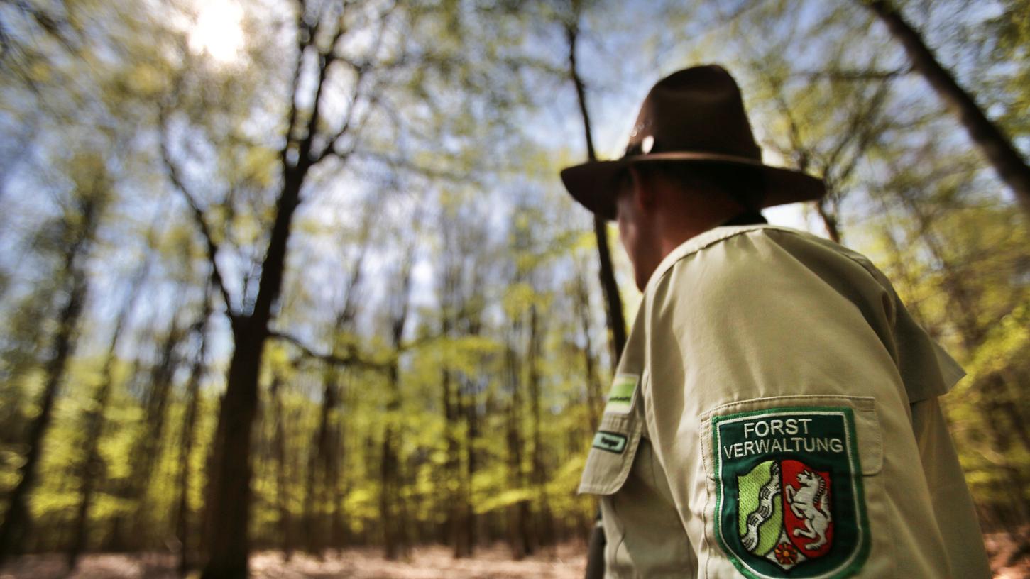 Dieser Ranger hat einen Wald im Nationalpark Eifel im Blick. Fester Arbeitsort für die hiesigen Naturwächter soll in Muggendorf sein.