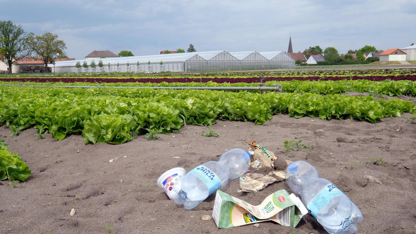 Neben Kopfsalat wächst auch Plastikmüll: Die Landwirte im Knoblauchsland müssen immer wieder Abfall entfernen, den Unbekannte hinterlassen haben.
