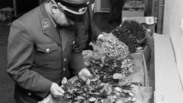 Hier sind duftende blaßlila Rosen 'Mainzer Faßnacht" an der Reihe. Als es noch ein Strauß Feldblumen tat, war dieses Problem unbekannt. Hier geht es zum Artikel vom 11. Mai 1969: Jets bringen Blumen zum Muttertag!