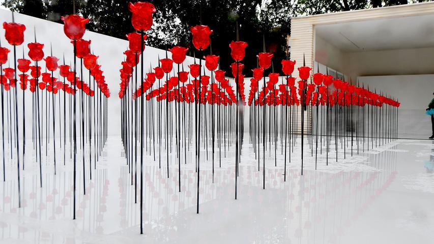 In Reih und Glied stehen diese Rosen bei der Biennale in Venedig. Geschaffen hat das Kunstwerk die Österreicherin Renate Bertlmann, Titel: "Discordo Ergo Sum". Die Biennale steht übrigens unter dem Motto "Mögest du in interessanten Zeiten leben" - ein Wunsch, der in China als Fluch gilt.