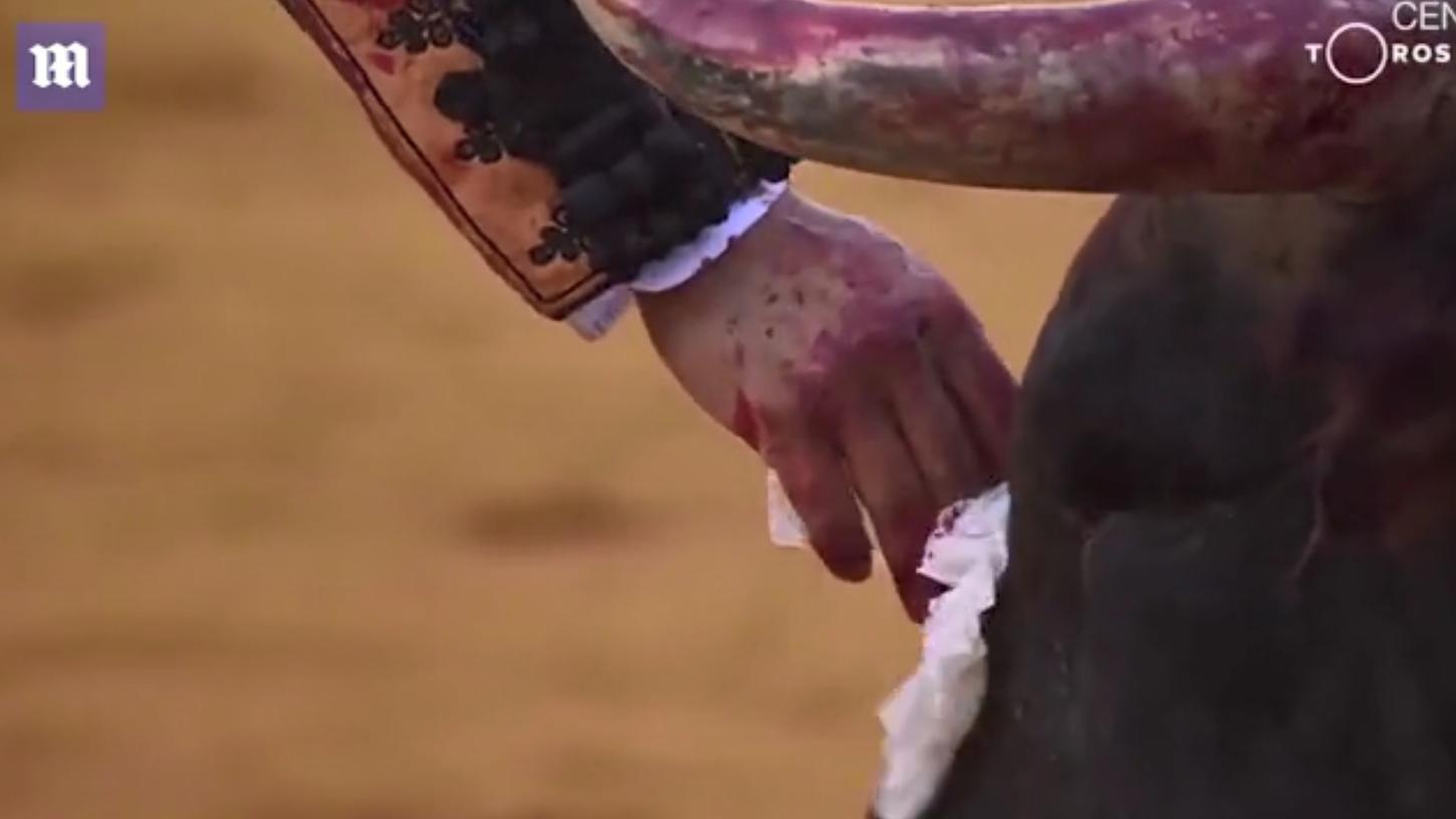 Spanien: Matador wischt sterbendem Stier mit Tuch Tränen ab