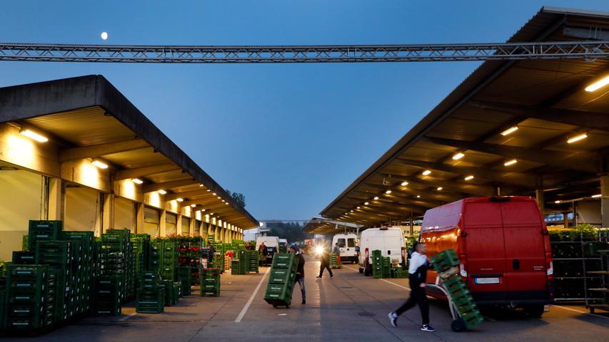 Obst und Gemüse in der Finsternis: Nachts auf dem Großmarkt