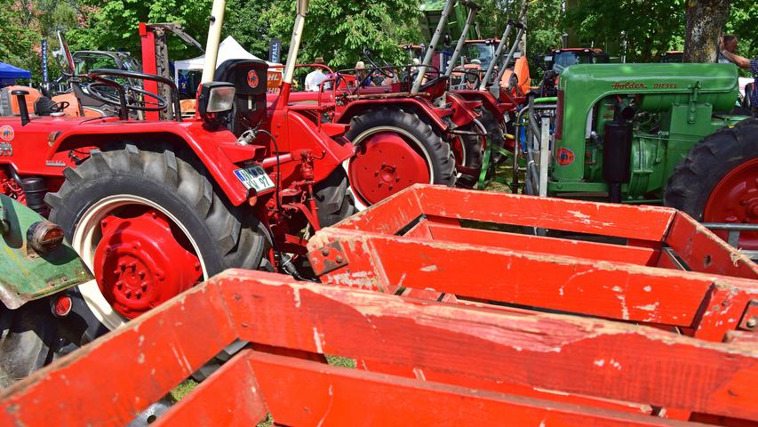 Traktor, Turnen, Trumpf: Das Neumarkter Frühlingsfest am Samstag