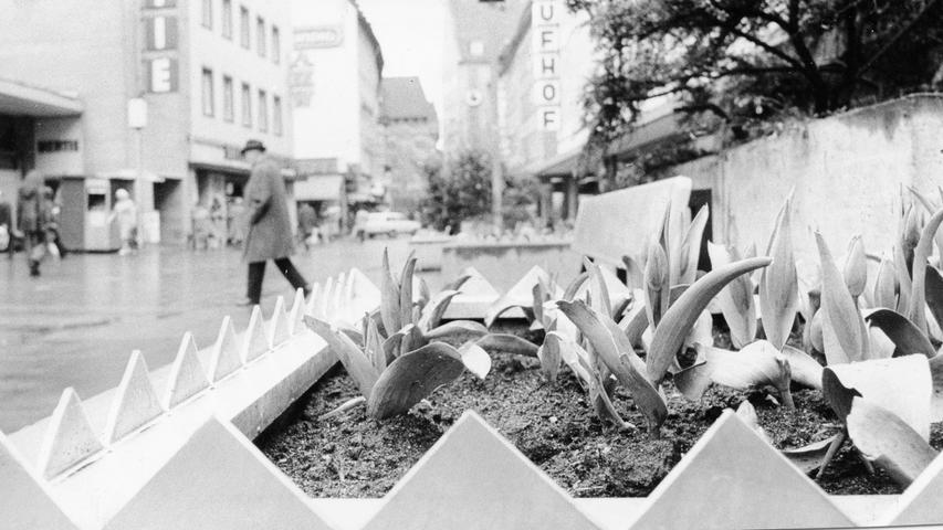 Die Geschichte der Nürnberger Fußgängerzone ist reich an Anekdoten. So auch diejenige von den Pflanzkübeln, auf denen sich die Nürnberger immer zur Shopping-Pause niederließen und dabei die schönen Blümlein zerquetschten. Zum Schutz der Blumen wurden, der Taubenvergrämung nicht unähnlich, Blechzacken an den Pflanztrögen angebracht.