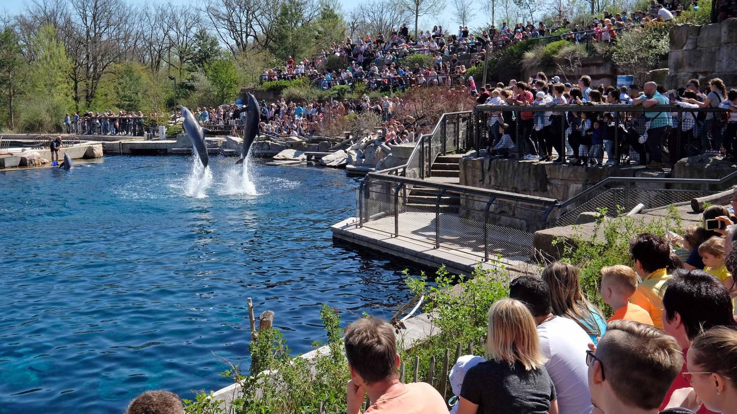 Zoo-Vergleich: So gut schneidet der Nürnberger Tiergarten ab
