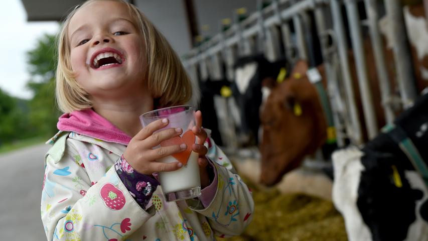 Die Region innerhalb der EU, in der die meiste Milch produziert wird, ist die Bretagne. 5.488.000 Liter waren es 2018. Zum Vergleich: Aus Oberbayern kam in diesem Zeitraum weniger als die Hälfte. Dennoch führt Deutschland die Länder-Liste der Milchproduzenten an.