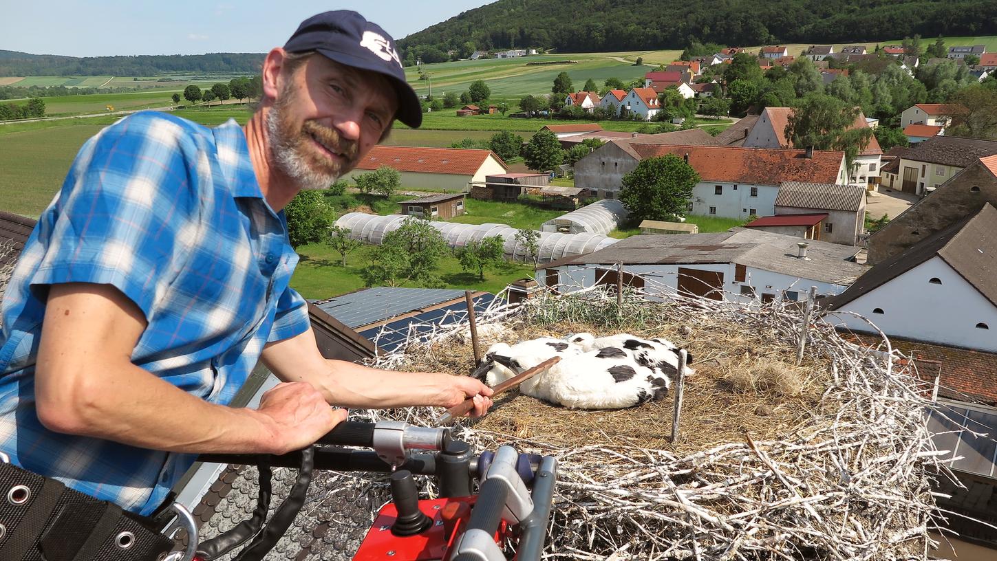 Wettelsheim: Familie Storch auf Schornstein Strauß