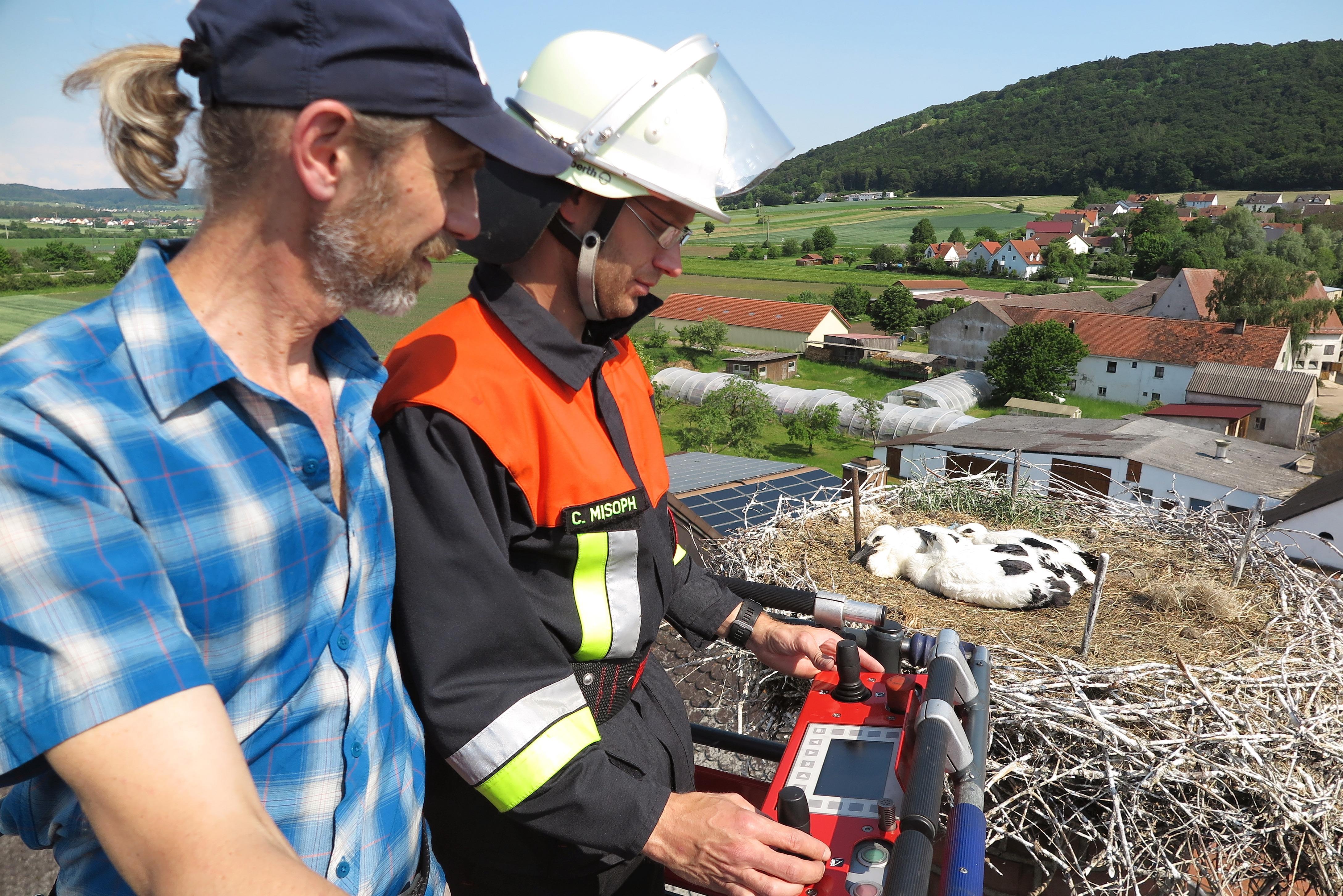 Storch-Beringung Wettelsheim