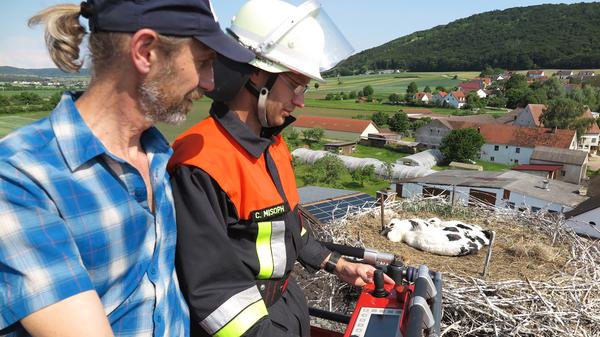 Storch-Beringung Wettelsheim