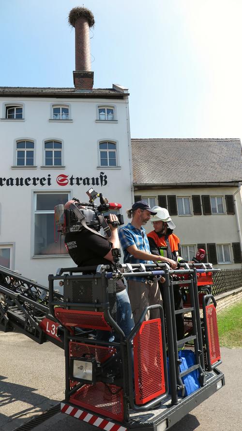 Familie Adebar statt Strauß-Bräu: Wettelsheimer Jungstörche beringt