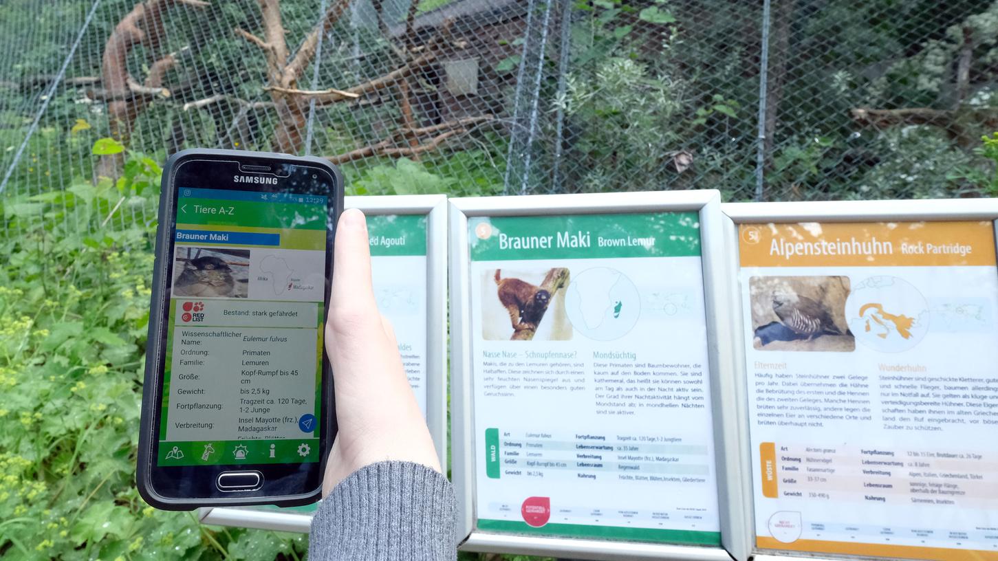 Eine neue Navigations-App soll den Besuch im Tiergarten in Zukunft erleichtern.