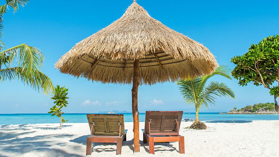 Traumurlaub unter Palmen Traumurlaub unter Palmen