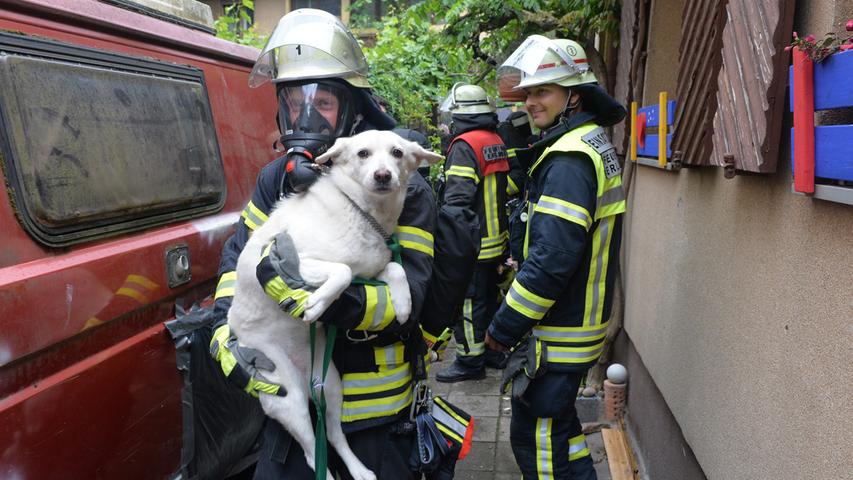Hoverboards brennen in Wohnhaus: Feuerwehr rettet Hund