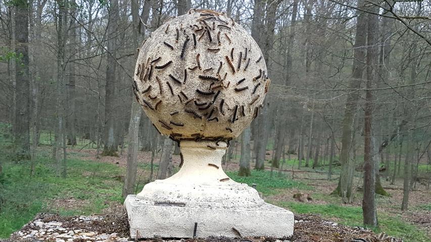 Auch diese Skulptur im Burgstallwald ist fest in der Hand der Schwammspinner.