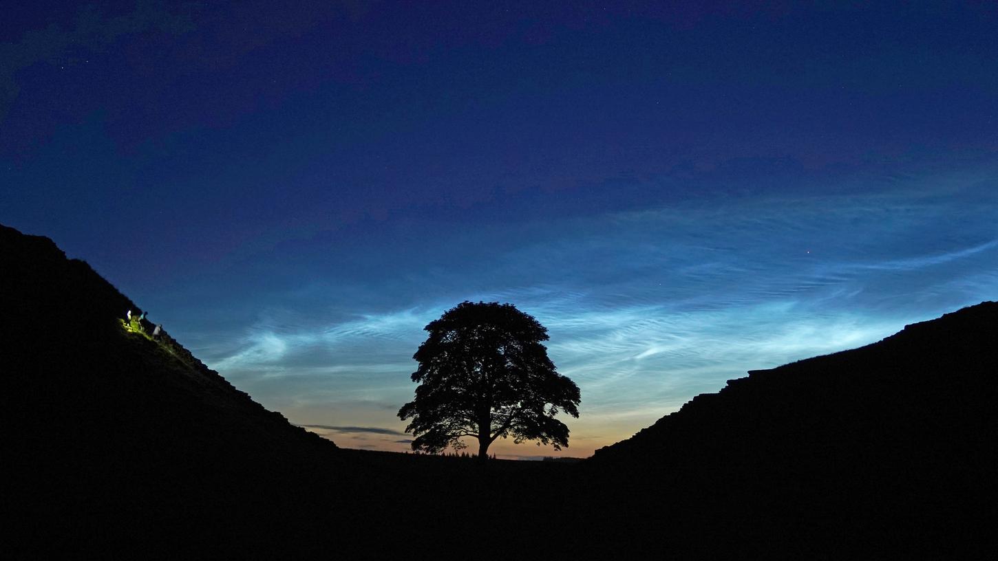 Nachtwolken leuchten im Hintergrund des berühmten Sycamore Gap Trees. Auch in Franken soll das Phänomen derzeit in klaren Nächten gut zu sehen sein. Nachtwolken leuchten im Hintergrund des berühmten Sycamore Gap Trees. Auch in Franken soll das Phänomen derzeit in klaren Nächten gut zu sehen sein.