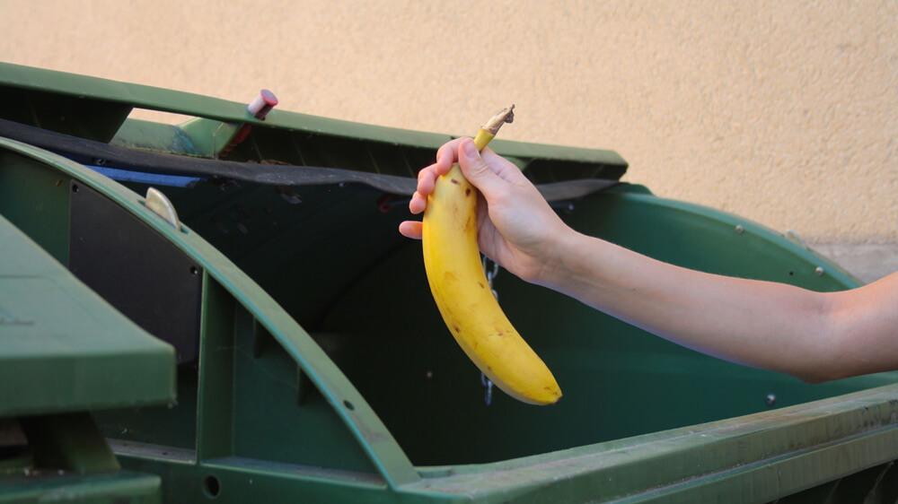 Containern, auch Mülltauchen oder Dumpstern genannt, steht für die die Mitnahme von weggeworfenen Lebensmittel aus Abfallcontainern.