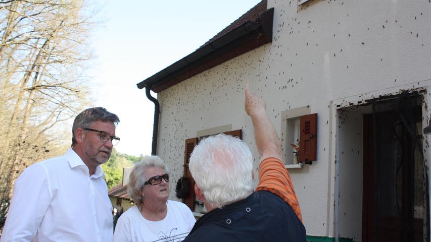 Gerhard Postler zeigt Bürgermeister Karl-Heinz Fitz und Elisabeth Lautner die neuen Gelege, die er am Giebel seines Hauses entdeckt hat.