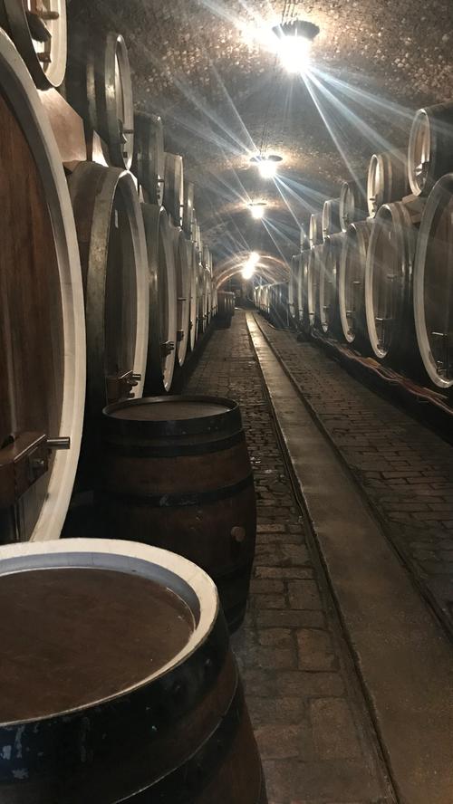 Der Weinkeller Stari Podrum ist 100 Meter lang und stammt aus dem 15. Jahrhundert. Das Weingut beliefert seit Jahren das englische Königshaus. Ilok ist...