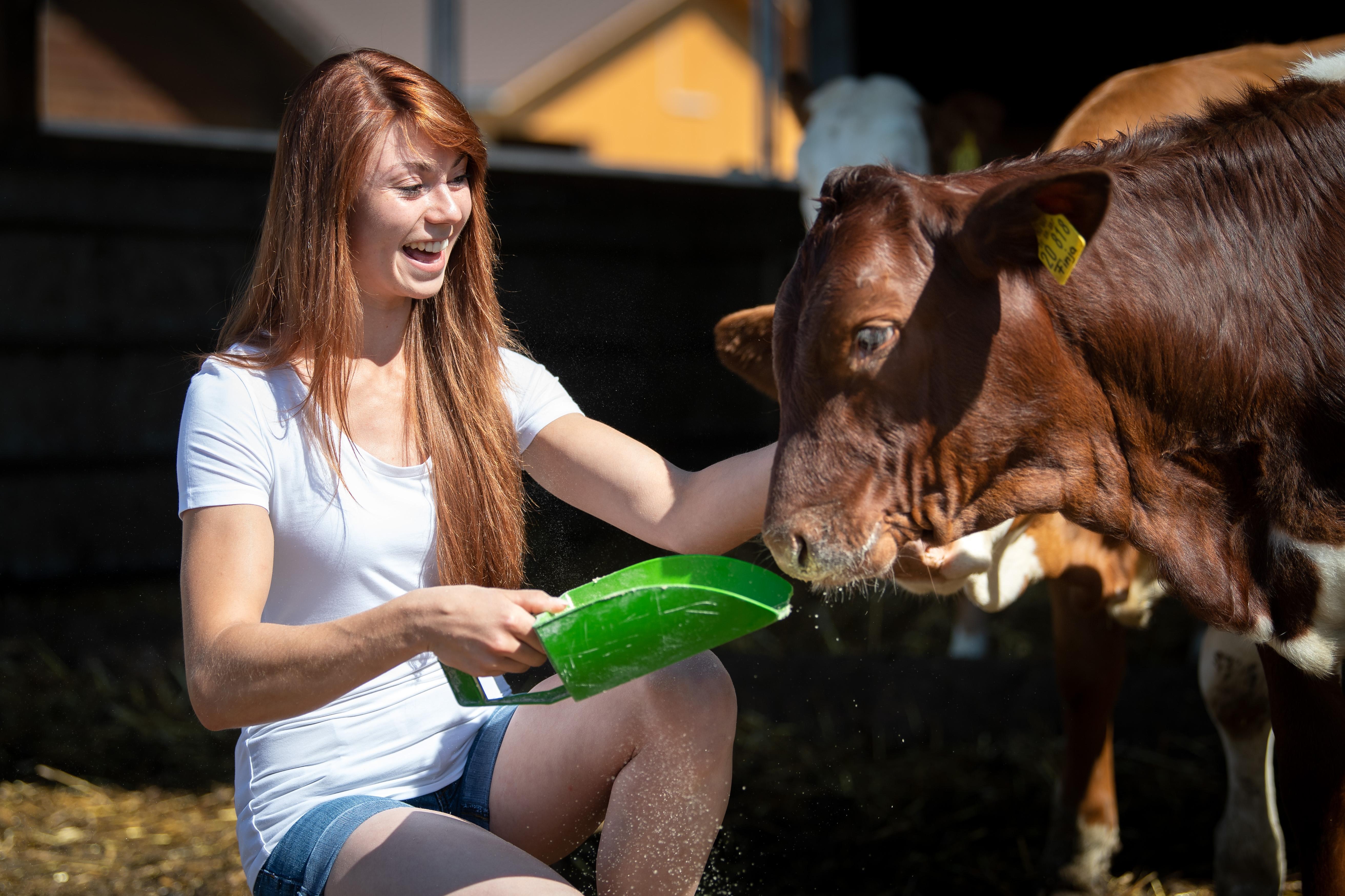 Wegen Corona 2021 Wird Ein Jahr Ohne Jungbauernkalender Region Nordbayern De