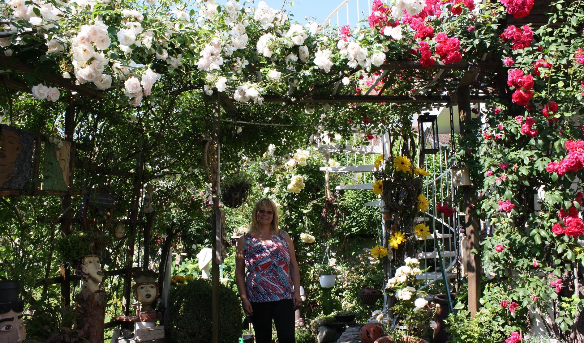 Tag Der Offenen Gartentur Auf Ins Rosen Paradies Muhlhausen